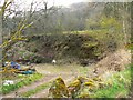 Abandoned quarry