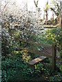 Stile at the end of the footpath