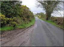 H5560 : Garvaghy Hill Road by Kenneth  Allen