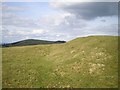 Castle Ring earthworks (closeup 1)