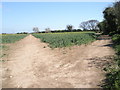 Start of footpath from Yapton to Ford Lane