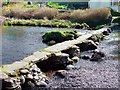 W1466 : Old footbridge across the River Lee, Ballingeary by Richard Fensome