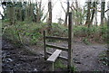 Stile, northern edge of Brokes Wood