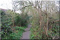 Footpath along the edge of Brokes Wood (2)