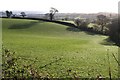 Field by Langdon Lane