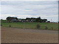 Farm Buildings and Houses at Tulloch