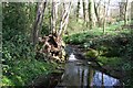 Minor waterfall near Chorlton Lane