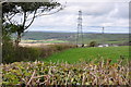 Hedgerow running toward Llancwm Farm and beneath power lines