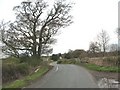 Coulter Lane crosses a brook