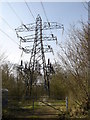 Pylons near Tye Lane