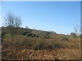 Moorland edge west of the A5025 near Coed-bwlch-y-dafarn