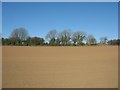 Ploughed land between the A5025 and the old railway line