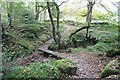 Woodland below Froggatt Edge