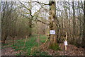 TQ6426 : Keep out of the woods, Newbridge Wood by N Chadwick