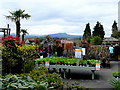 Raglan Garden Centre plant area 1