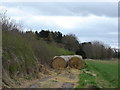 Straw  Bales  on  farm  track  from  Bruce  House