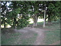 Footpath junction nearing the tarmac depot