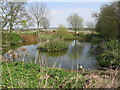 TR1144 : Pond opposite Elmsted Court Farm by Nick Smith