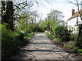 View along road into Hastingleigh