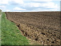 Ploughed Field