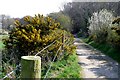 Bridleway near West Knighton