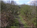 Footpath to Irwell Vale