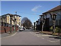 Topped trees in Ordnance Road