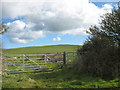 Footpath north towards Nant-y-fran