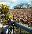 Farm Gate