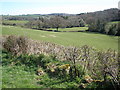 SX6989 : Rolling countryside, near Withecombe by Roger Cornfoot