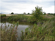 SP7219 : Pond near Railway Cottage by Andy Gryce