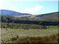 Snowdonia countryside