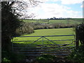 Farmland, west of Drewsteignton