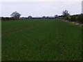 Farmland South of Cotton End