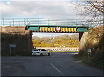 S9923 : Railway bridge over R730 road near Ferrycarrig by David Hawgood