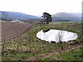 Pond at Henwell