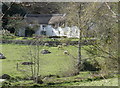 Coombe, below Hunters Tor