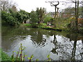 Gardens backing on to the Basingstoke Canal