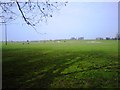 Horses grazing at Cowpasture Farm