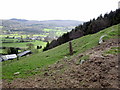 Llanferres from the bridleway around Fron Hen