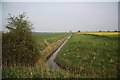 Broadholme farmland