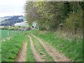 Bridleway, Whitsbury