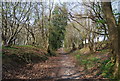 Bridleway heading to Hunter Hill