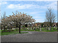 Arundel Cemetery