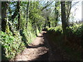 Mid Devon : Uphill Track