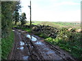 Mid Devon : Muddy Countryside Track