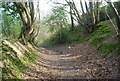 Sunken bridleway, Burwash Weald