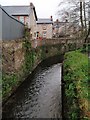 River Lemon, Newton Abbot