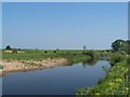 River Swale, Bramper corner near Thrintoft