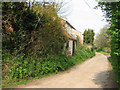 Whitwell Street - view north from cul-de-sac